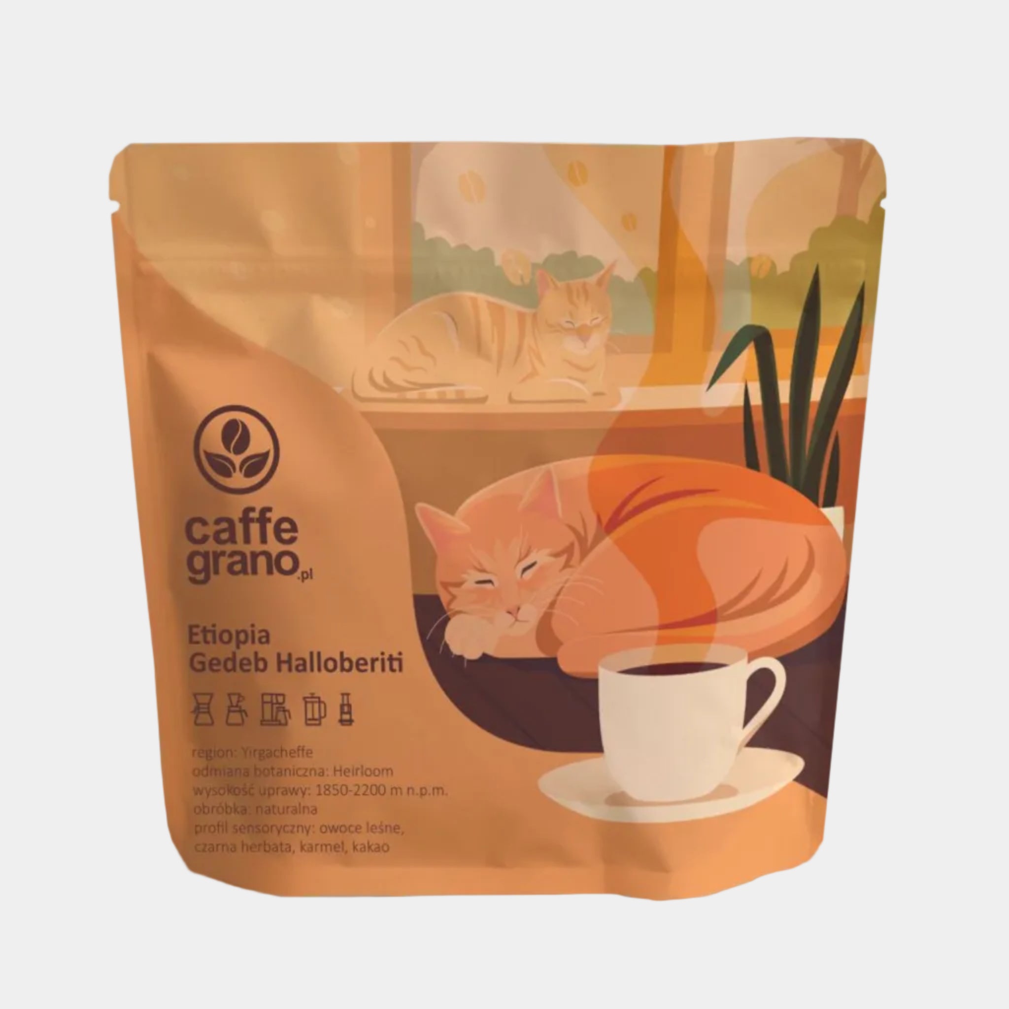 kawa ziarnista specialty CAFFE GRANO - Etiopia Gedeb Halloberiti