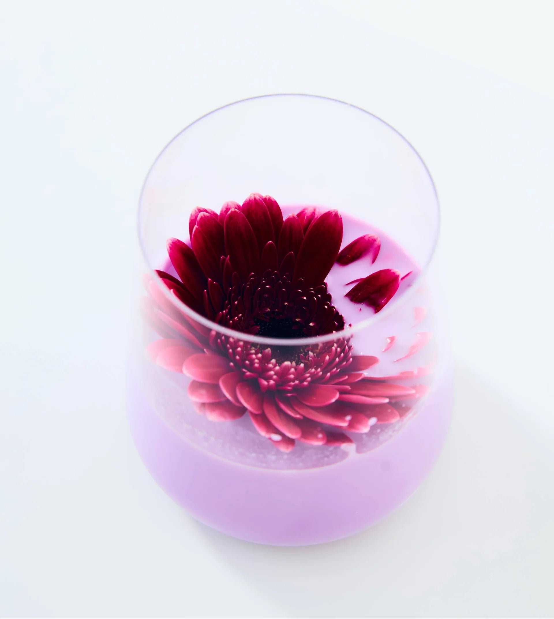Lune Tea Purple Dream - sproszkowany Ube puszka 40 g