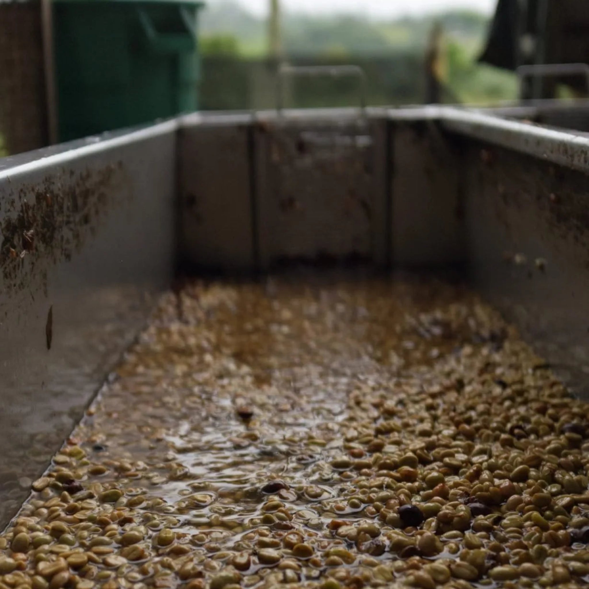 Kawa A.M.O.C /035² Colombia Gesha fully washed - kawa specialty pod filtr z nutami brzoskwini, darjeeling i skórki limonki